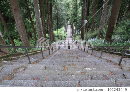 Mount Minobu Kuonji Stairway Scenery 102243449