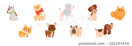 Cute Dog Puppy with Collar as Domestic Pet Vector Set Cute Dog Puppy with Collar as Domestic Pet Vector Set 102243459