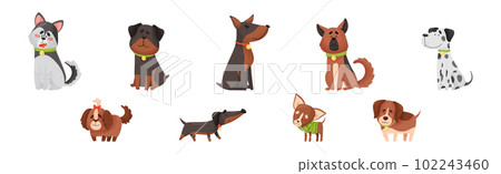 Cute Dog Puppy with Collar as Domestic Pet Vector Set 102243460