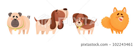 Cute Dog Puppy with Collar as Domestic Pet Vector Set Cute Dog Puppy with Collar as Domestic Pet Vector Set 102243461