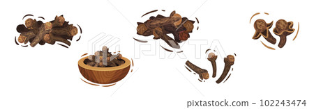 Clove Aromatic Dried Spice and Seasoning Pile in Bowl Vector Set Clove Aromatic Dried Spice and Seasoning Pile in Bowl Vector Set 102243474