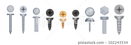 Metallic Screw and Bolt as Fastener with Helical Ridge Vector Set 102243534