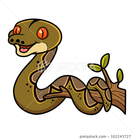 Cute reticulatus python cartoon on tree branch 102243727