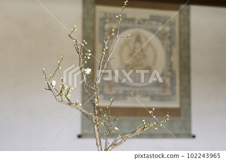 插花和掛軸 102243965