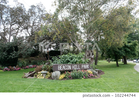[Canada] Beacon Hill Park, Victoria 102244744