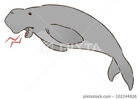 angry dugong 102244826