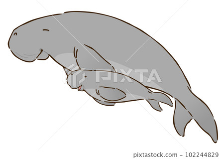 Dugong parent and child 102244829