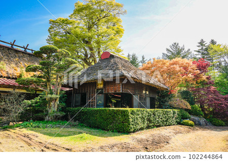 新鮮的綠色和老房子 新鮮的綠色和老房子 102244864