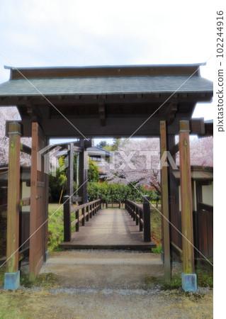 櫻井城址寧靜的風景 102244916