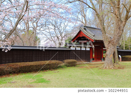 櫻井城址寧靜的風景 102244931