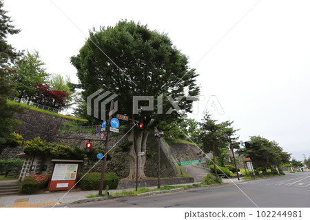 Iwate Morioka Iwate Park (Morioka Castle Ruins Park) 102244981