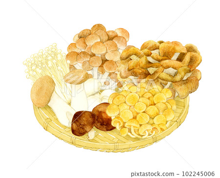 hand drawn illustration of mushrooms on bamboo colander 102245006