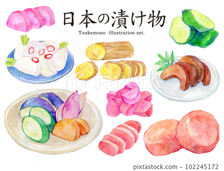 Japanese pickles watercolor illustration set hand-painted 102245172