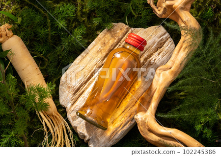 Mockup scene for product of ginseng extract with glass bottle unlabeled on stone podium, ginseng root and dry twig decorated on moss background. Natural concept for advertising 102245386