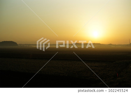 one morning 102245524