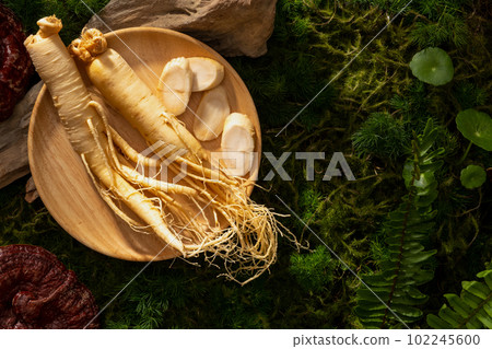 Ginseng and ginseng slices are arranged on wooden dish. Ginseng (Panax ginseng) contains antioxidants that may reduce inflammation. Copy space 102245600
