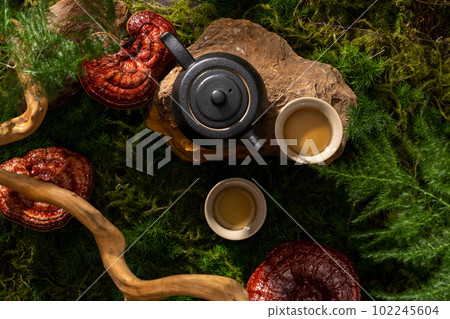 A block of stone with an earthen teapot and a tea cup placed on. Natural medicine content. Lingzhi mushroom (Ganoderma Lucidum) can help enhance immune function A block of stone with an earthen teapot and a tea cup placed on. Natural medicine content. Lingzhi mushroom (Ganoderma Lucidum) can help enhance immune function 102245604