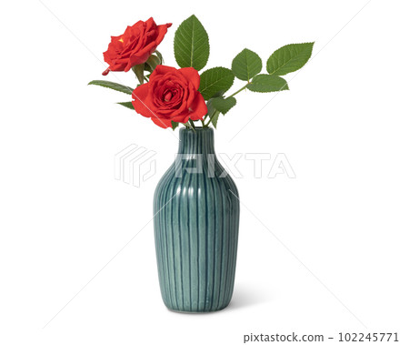 花瓶裡的玫瑰花 花瓶裡的玫瑰花 102245771