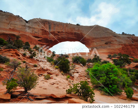 Arches National Park, Utah, USA 102246179