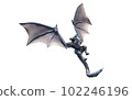 3DCG illustration Wyvern 102246196