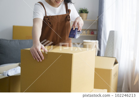 Modern female people in moving home apartment leisure indoor activity alone. Modern female people in moving home apartment leisure indoor activity alone. 102246213
