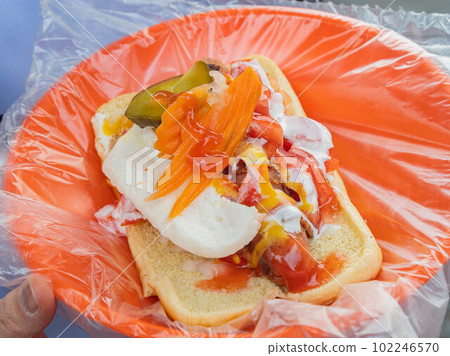 Close up shot of street vendors hot dog 102246570