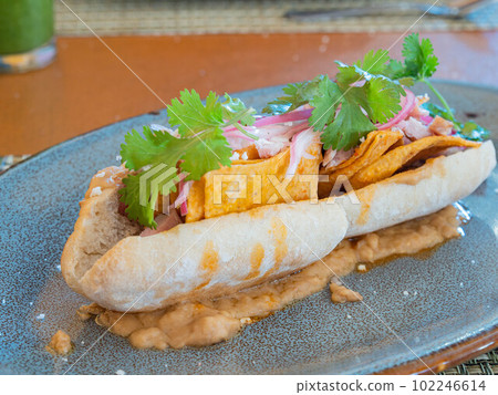 Close up shot of Mexician style sandiwch 102246614