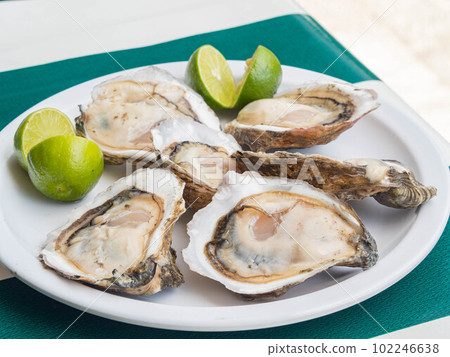 Close up shot of many fresh raw oyster Close up shot of many fresh raw oyster 102246638