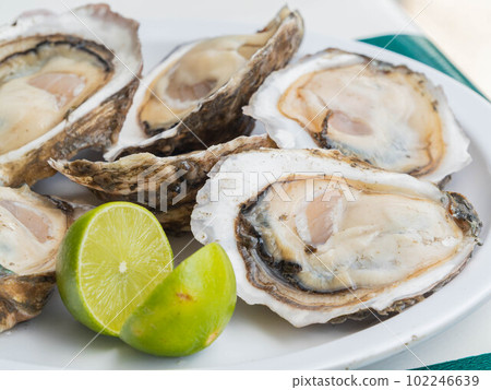 Close up shot of many fresh raw oyster 102246639