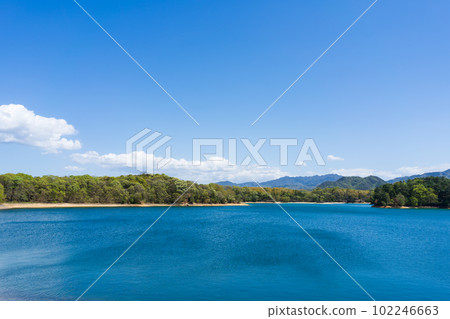 水庫新綠(香川縣高松市木淵森林公園) 水庫新綠(香川縣高松市木淵森林公園) 102246663