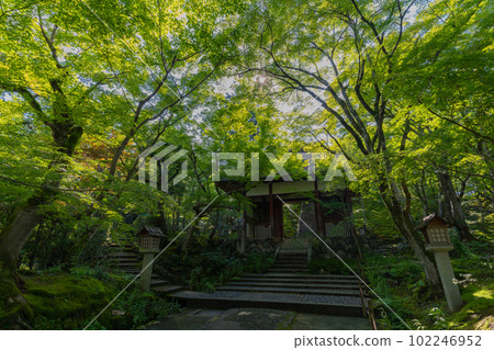Superb view of Kyoto Jojakko-ji Temple in the fresh greenery Superb view of Kyoto Jojakko-ji Temple in the fresh greenery 102246952