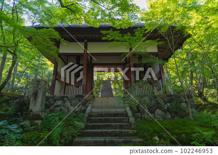 Superb view of Kyoto Jojakko-ji Temple in the fresh greenery Superb view of Kyoto Jojakko-ji Temple in the fresh greenery 102246953