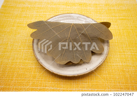 A piece of kashiwamochi on a ceramic plate, a Japanese confectionery bird's-eye view 102247047