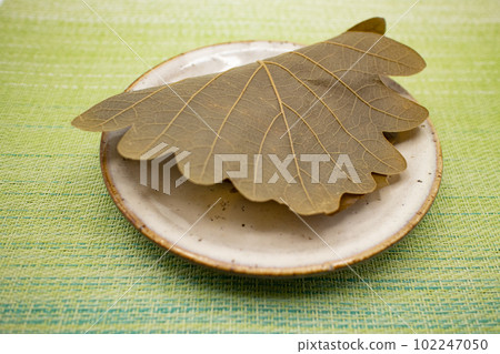 A piece of kashiwamochi on a ceramic plate, Japanese confectionery oblique bird's-eye view 102247050
