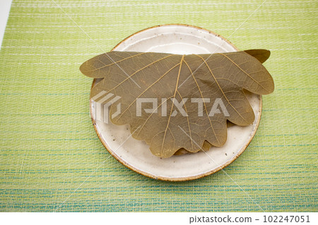 A piece of kashiwamochi on a ceramic plate, a Japanese confectionery bird's-eye view 102247051