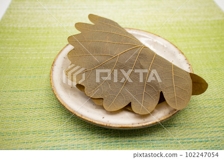 A piece of kashiwamochi on a ceramic plate, Japanese confectionery oblique bird's-eye view 102247054