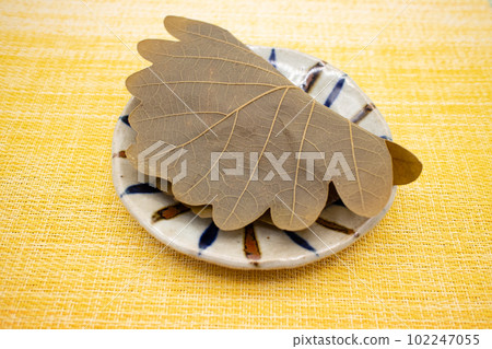 A piece of kashiwamochi on a ceramic plate, a Japanese confectionery oblique bird's-eye view 102247055