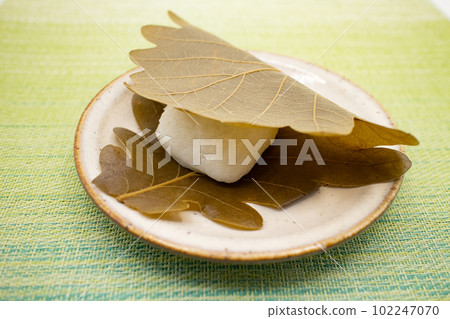 A piece of kashiwamochi on a ceramic plate, Japanese sweets 102247070