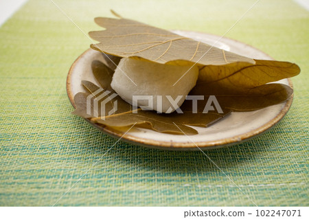 A piece of kashiwamochi on a ceramic plate, Japanese sweets 102247071