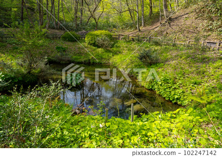 Scenery of Sayama Highland Scenery of Sayama Highland 102247142
