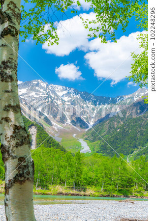 [Scenic view] Kamikochi in early summer [Nagano Prefecture] 102248296