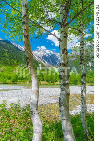 [Scenic view] Kamikochi in early summer [Nagano Prefecture] 102248303