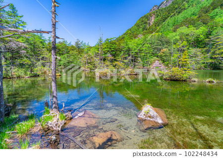 [Scenic view] Myojin Pond in Kamikochi in early summer [Nagano Prefecture] 102248434