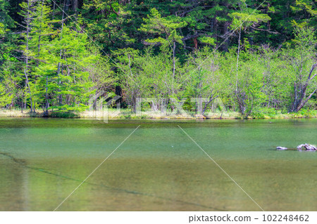 [Scenic view] Myojin Pond in Kamikochi in early summer [Nagano Prefecture] 102248462