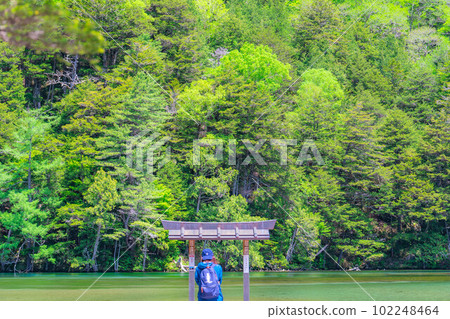 [風景]初夏的上高地明神池[長野縣] 102248464
