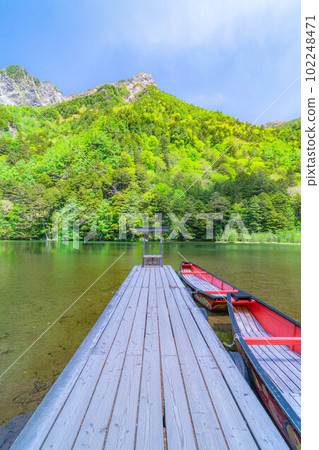 [風景]初夏的上高地明神池[長野縣] 102248471