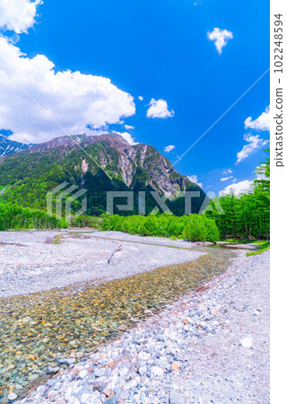 [風景]初夏的上高地[長野縣] 102248594