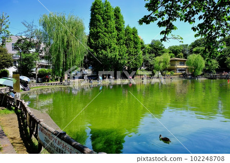 Mitsugi Park, Itabashi Ward 102248708