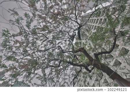 April 26 2023 Building Exterior of Murray Hotel in Hong Kong April 26 2023 Building Exterior of Murray Hotel in Hong Kong 102249121