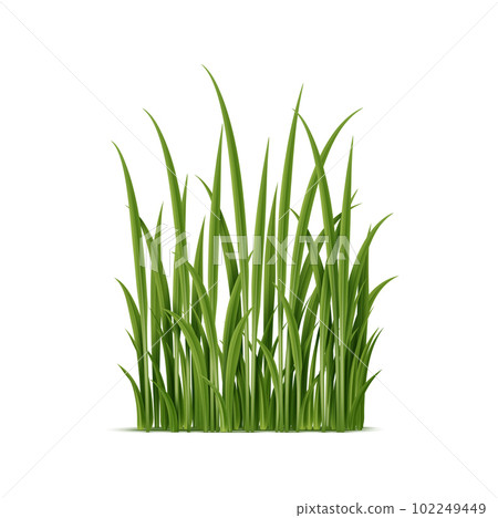 Realistic 3d green cluster of grass with intricate details. Isolated vector natural plant for landscaping, gardening, or environmental themes 102249449